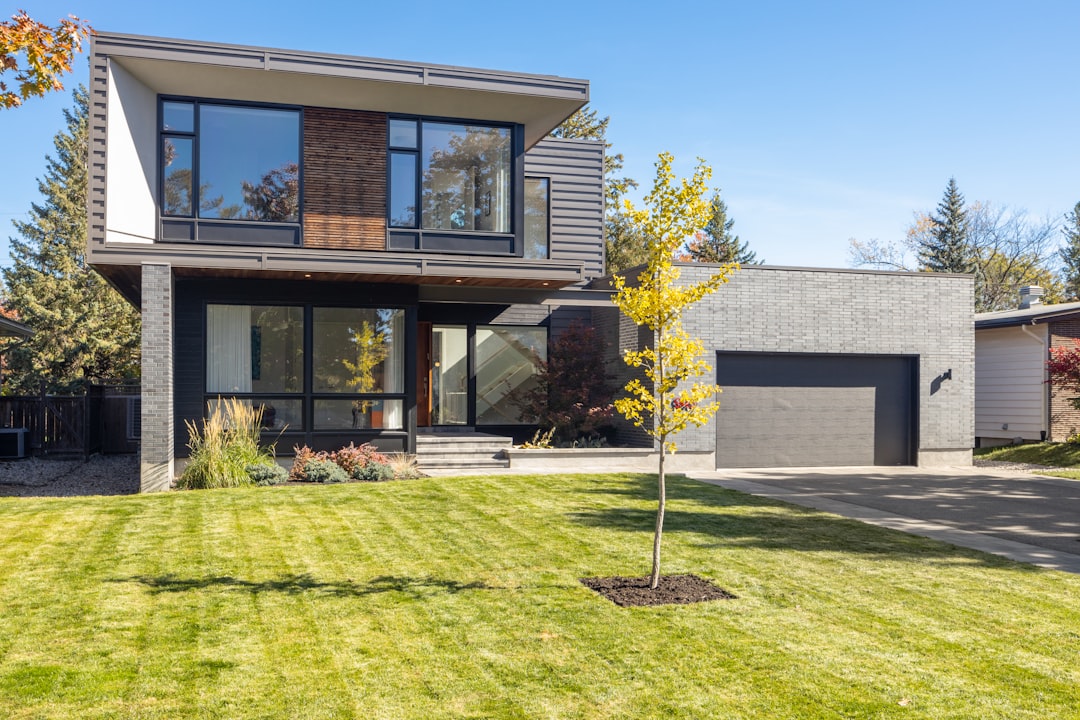 a-house-with-a-tree-in-the-front-yard-kpgkus5ahjy